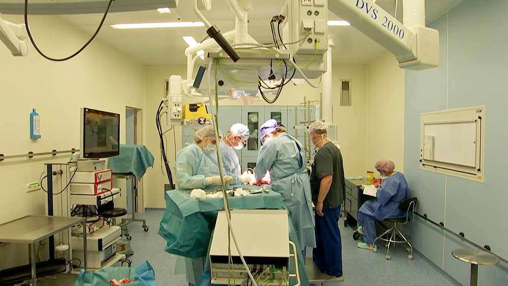 В Российской детской клинической больнице провели уникальную операцию на почке