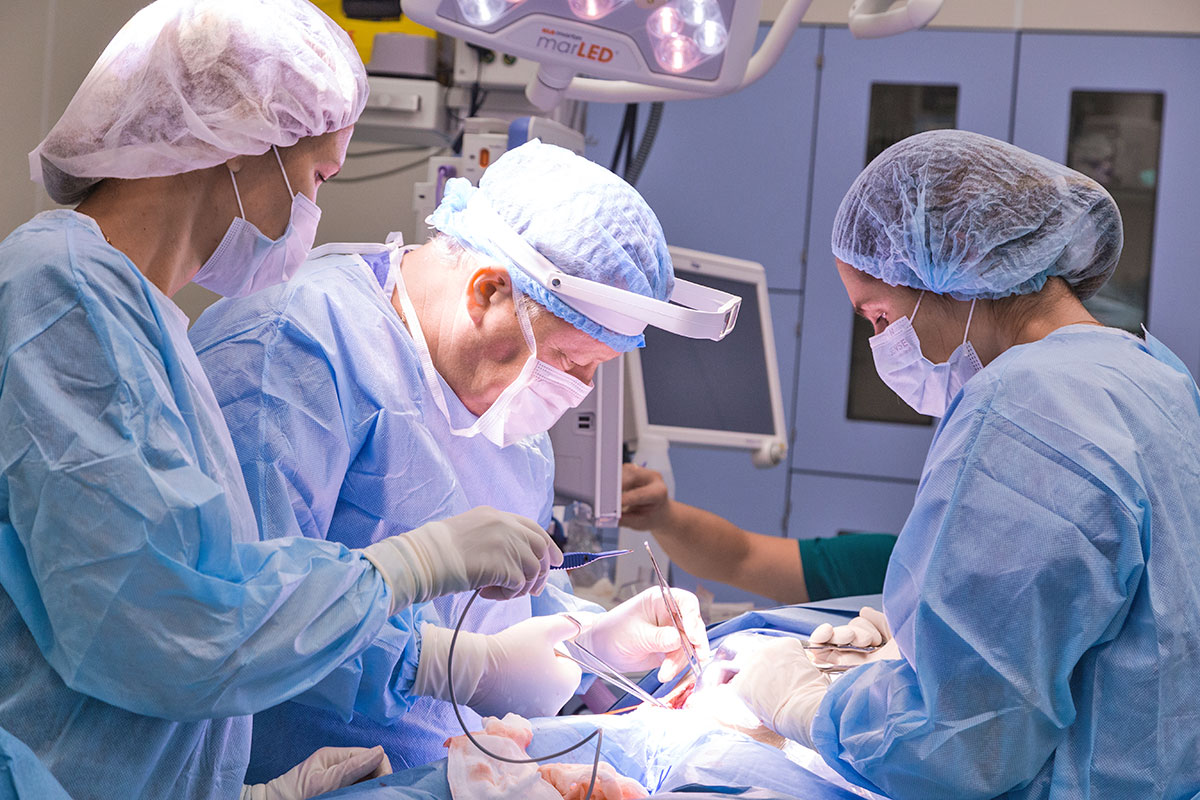 В РДКБ впервые провели родственную трансплантацию почки